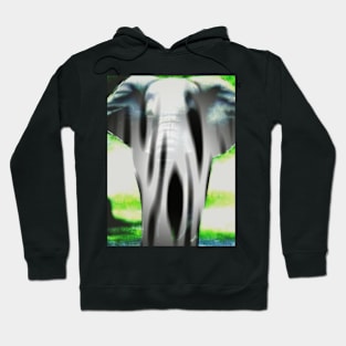 white elephant Hoodie